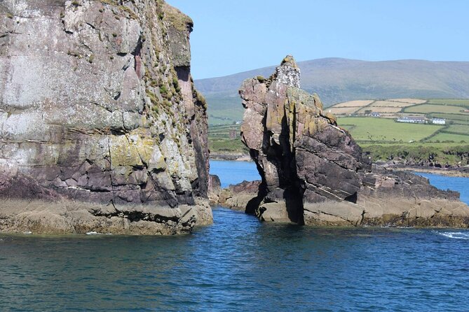1 hour Dingle Bay Cliff Tour - Dingle Dolphin Boat Tours Pier: Where the cruise begins