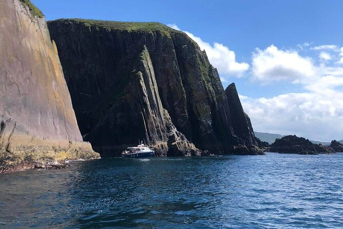1 hour Dingle Bay Cliff Tour - One hour around Dingle Bay: a pace that fits your day
