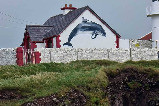 1 hour Dingle Bay Cliff Tour - Weather, comfort, and who this cruise fits best