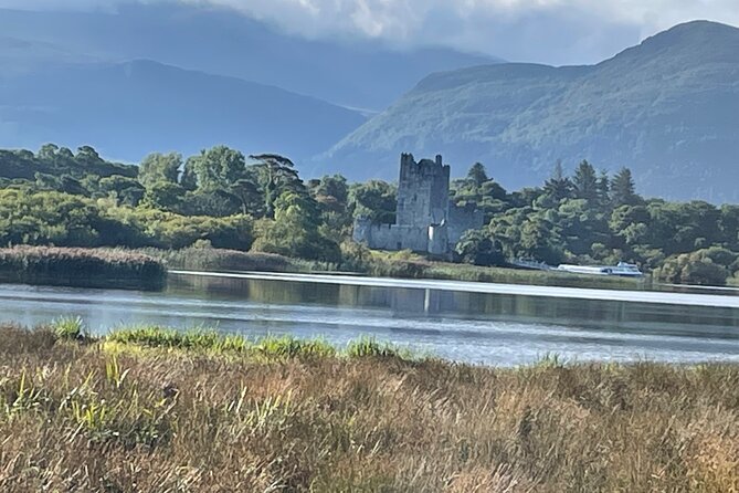 1 Hour Guided Carriage Tour in Killarney National Park - Lakes of Killarney: The Views That Make the Short Tour Worth It