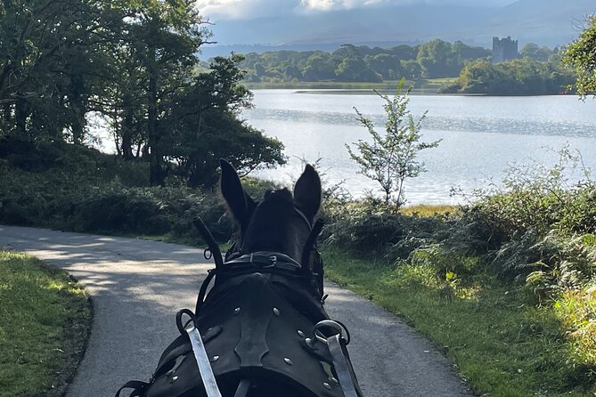 1 Hour Guided Carriage Tour in Killarney National Park - Ross Castle Stop: Photo Time Plus a Short Walk