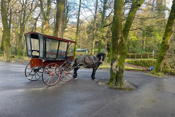 1 Hour Guided Carriage Tour in Killarney National Park - Rolling Past Deenagh Lodge and Toward the Deerparks