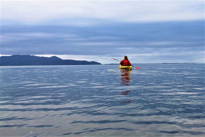 2.5 Hour Guided Sea Kayaking in Roundstone Bay - Who Should Book This Roundstone Bay Kayak Trip