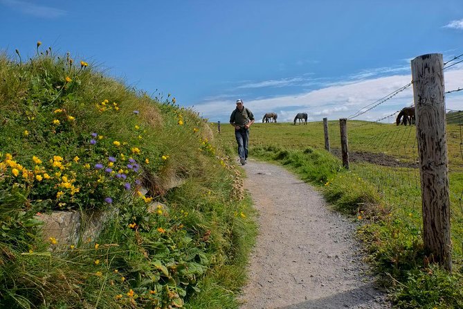 2-Day Wild Atlantic Way Tour From Dublin - Cliffs of Moher, your 90-minute walking loop