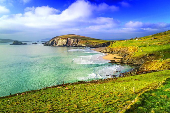 3-Day Dingle, Killarney and the Wild Atlantic Way Small-Group Tour from Dublin - Price and logistics: does $795.70 feel fair?