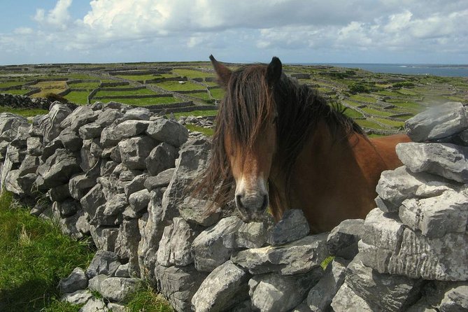 3-Day Southern Ireland Tour Including Galway and Kerry from Dublin - Who should book this tour, and who should choose a different plan