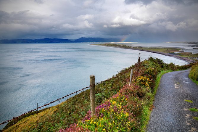 4-Day Blarney Castle, Ring of Kerry, Cliffs of Moher & Connemara - Why This Rail And Coach Loop Makes Ireland Feel Manageable