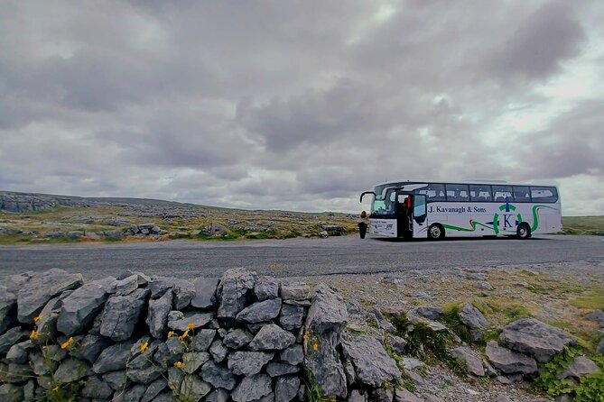 4-Day Guided Tour to Discover Ireland and Dublin - Day 2: Glendalough, Wicklow Mountains views, sheepdog magic in Ballybought, and Kilkenny