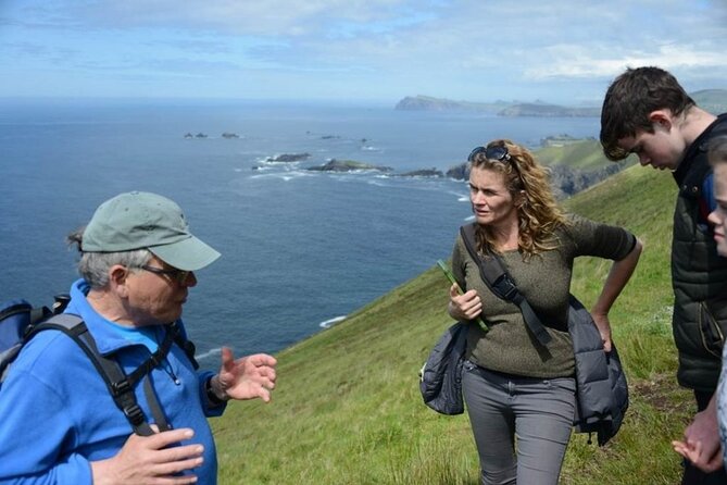 4 Hours Dingle Peninsula Private Tour - Pickup, Timing, and How the Day Flows (Without Feeling Rushed)