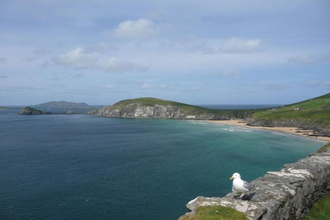5-Day Northern Ireland and Atlantic Coast Small-Group Tour from Dublin - Day 4 Connemara National Park and Visitor Centre: Twelve Bens and Sky Road Views