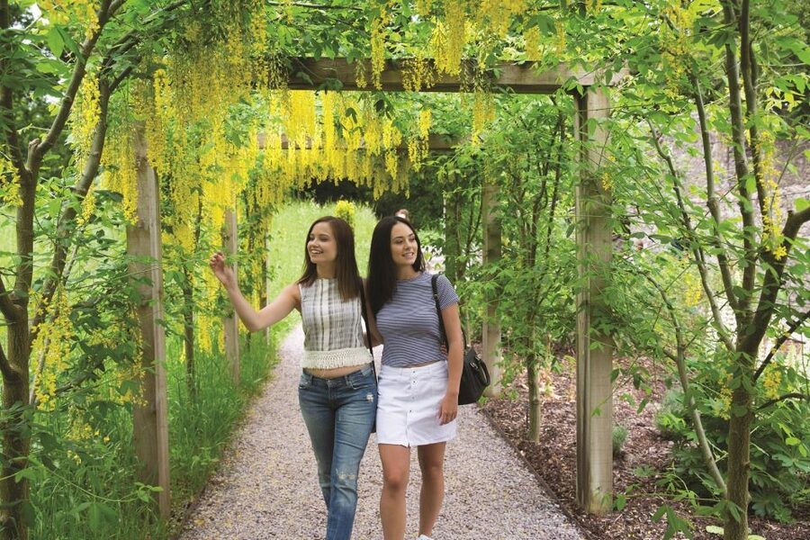 6-Day Tour of Southern Ireland from Dublin - A Realistic Look at Six Days from Dublin