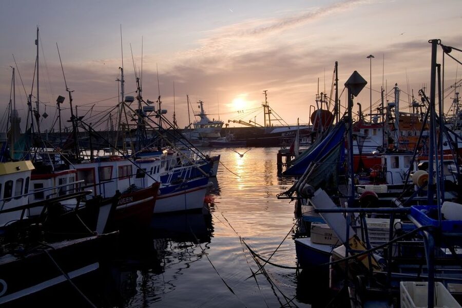 6-Day Tour of Southern Ireland from Dublin - Cliffs of Moher: The Big-Name Stop That Delivers