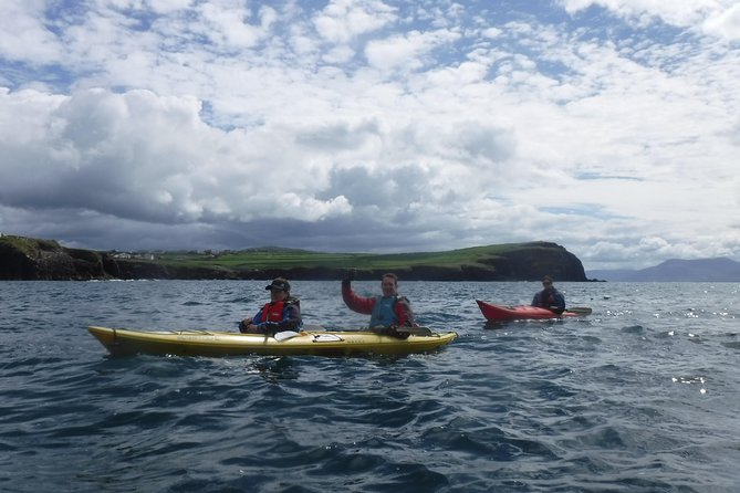 7-Day Great Atlantic Adventure Small-Group Tour of Ireland from Dublin - Sheepdog tradition, the Cliffs of Moher guided walk, and Doolin’s music nights