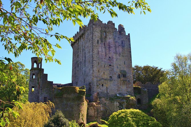 8 Day Emerald Explorer Small Group of tour of Ireland - Day 2: Cahir Castle Island Fortress, Blarney Stone, and Killarney Evenings