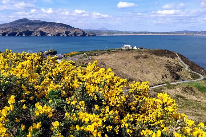 A Walk Through Time in Fort Dunree - Walking the 2 km Time Line: What You’ll See Outside