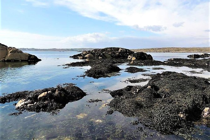 Abalone farm tour and tasting with coastal seaweed walk. Guided. 2 hours - Price and Value: What You Are Really Paying For at $108.79