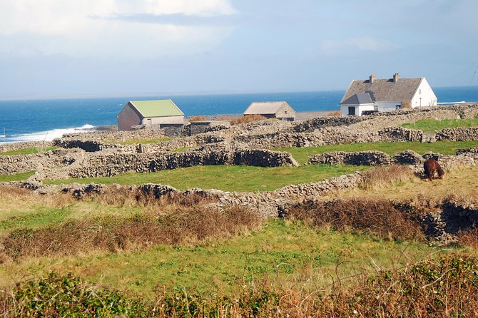 Aran Island, Cliffs of Moher & Cruise tour from Galway. Guided. - Inisheer: castles, churches, beaches, and how to spend your hours