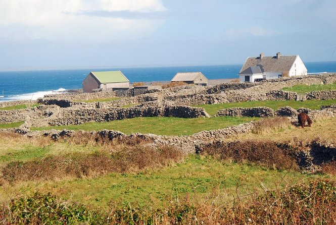 Aran Islands Bike Tour with Tea and Scones from Galway - Key things that make this day trip worth it