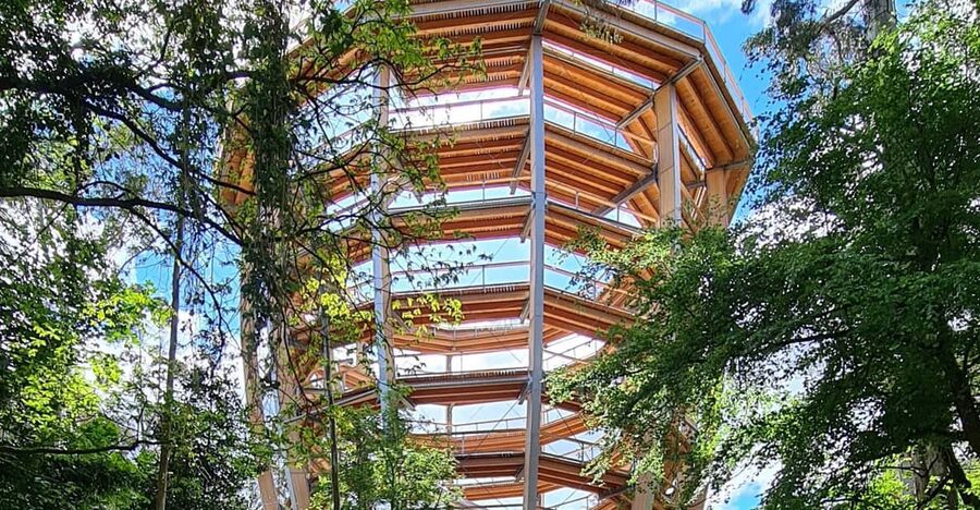 Avondale: Beyond the Trees Treetop Walk & Tower Entry Ticket - Key highlights you will feel right away