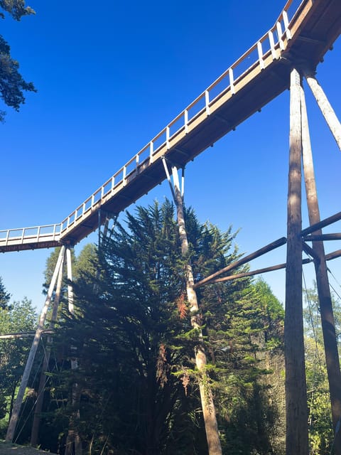 Avondale: Beyond the Trees Treetop Walk & Tower Entry Ticket - Price and Value in County Wicklow: What You Get for $18, Plus Extras