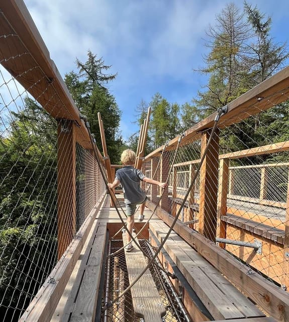 Avondale: Beyond the Trees Treetop Walk & Tower Entry Ticket - Boardwalk Play Areas for Kids: Games, Animals, and Breaks That Keep Them Engaged