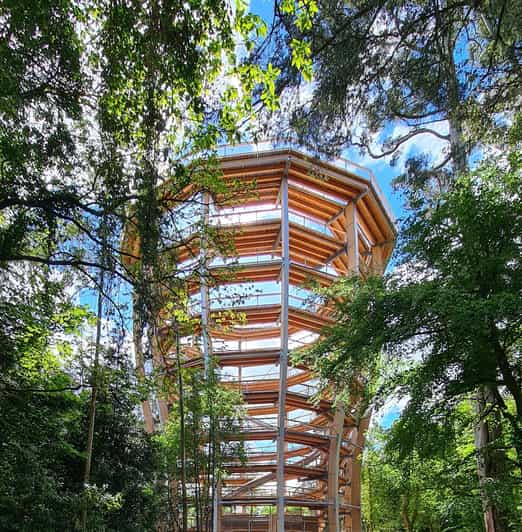 Avondale: Beyond the Trees Treetop Walk & Tower Entry Ticket - 1.4 km Through the Trees: From River Valley Boardwalk to Treetop Canopy
