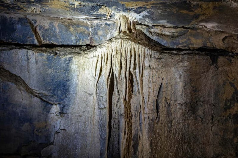 Ballyvaughan: Aillwee Burren Experience Entry Ticket - Aillwee Burren Experience: Where Caves, Raptors, and a Farm Shop All Fit