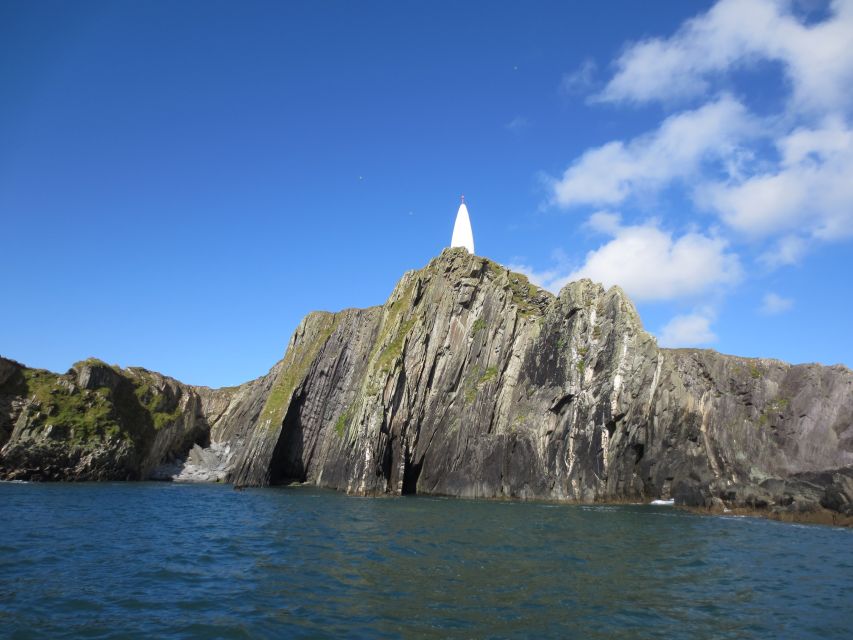 Baltimore Harbor: Sunset Cruise to Fastnet Rock Lighthouse - Gascanane Sound and Cape Clear: your best wildlife spotting hours
