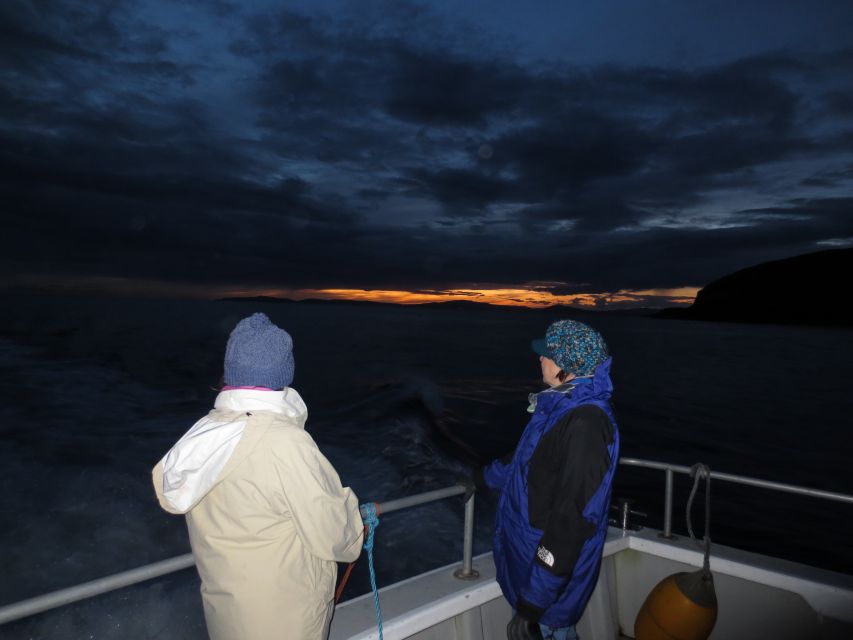 Baltimore Harbor: Sunset Cruise to Fastnet Rock Lighthouse - Comfort on deck versus in the cabin, and how to handle a 3-hour ride