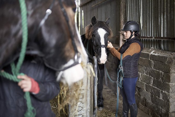 Beach & countryside horse riding outside Westport. Guided. 1 hour - Croagh Patrick and the island view that makes the ride feel longer