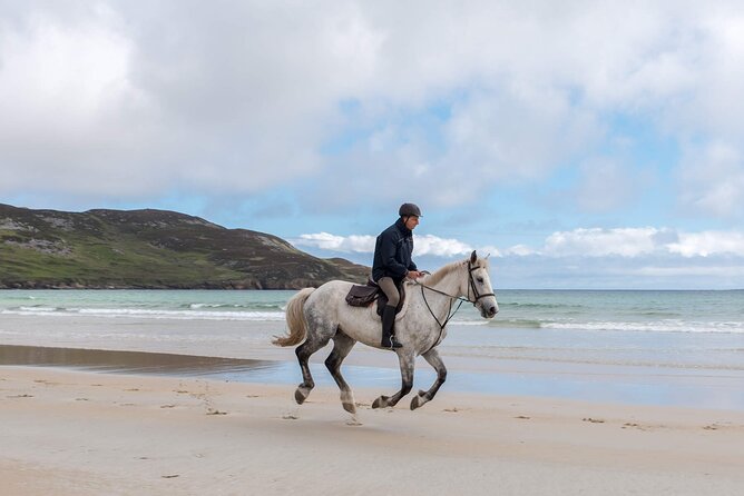 Beach & countryside horse riding outside Westport. Guided. 1 hour - Price and value: what $102.58 buys you in real terms