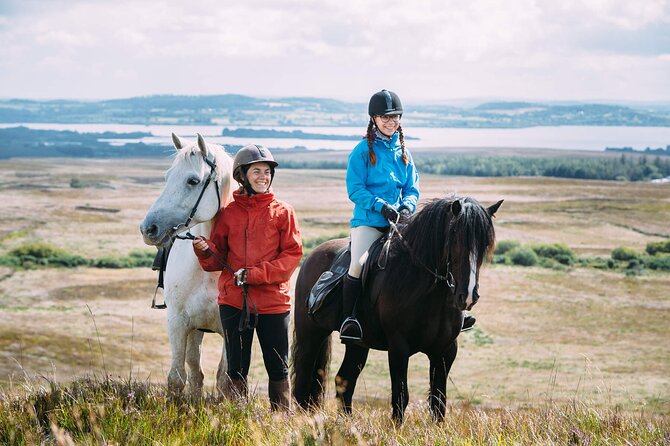 Beach & countryside horse riding outside Westport. Guided. 1 hour - The route through Mayo country, then out toward Clew Bay
