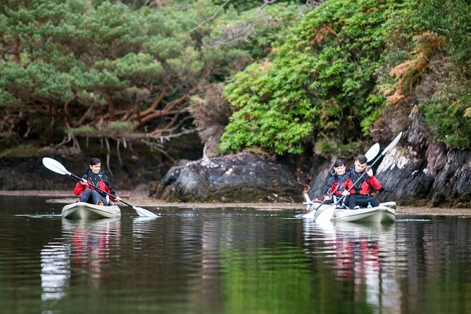 Beautiful Southwest Tour 2022 - Killarney by Jaunting Cart and Waterbus: A Classic Irish Combo