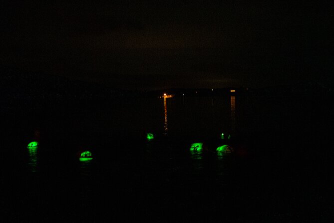 Bioluminescent Swim Experience in West Cork with Storytelling - Key things to know before you go