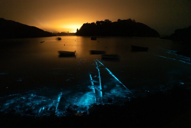 Bioluminescent Swim Experience in West Cork with Storytelling - Entering Castle Haven after dark