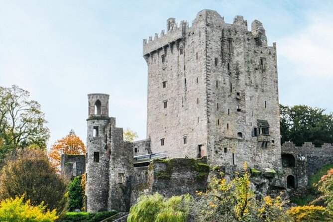 Blarney Castle and The Rock of Cashel with Private Chauffeur Tour - Private Chauffeur Day Trips From Dublin: What You Gain (and Give Up)