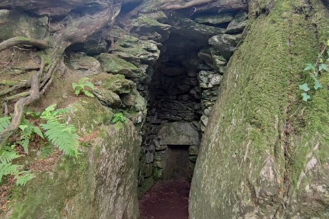 Blarney Castle Cork City and Jameson Distillery Small groups - Value for $247.84: Paying for Tickets, Tasting, and Time Management