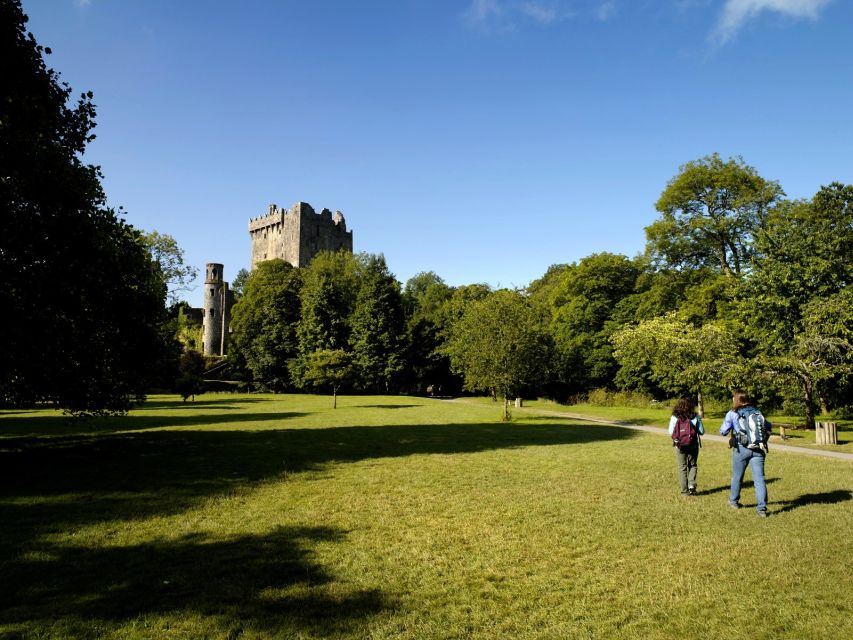 Blarney Castle Full-Day Tour from Dublin - Cork City free time on the River Lee: English Market vs St Finbarre’s Cathedral