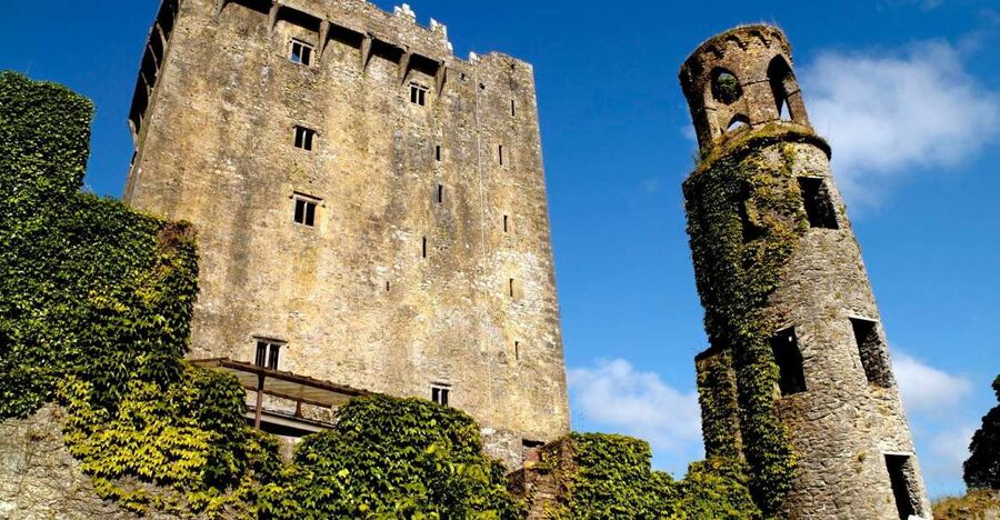 Blarney Castle Full-Day Tour from Dublin - Blarney Castle grounds and gardens: stone, Witch’s Cave, and time to wander