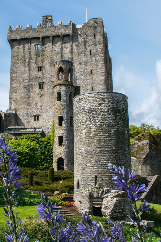 Blarney Castle: Private Guided Day Tour from Dublin - Key highlights worth waking up for