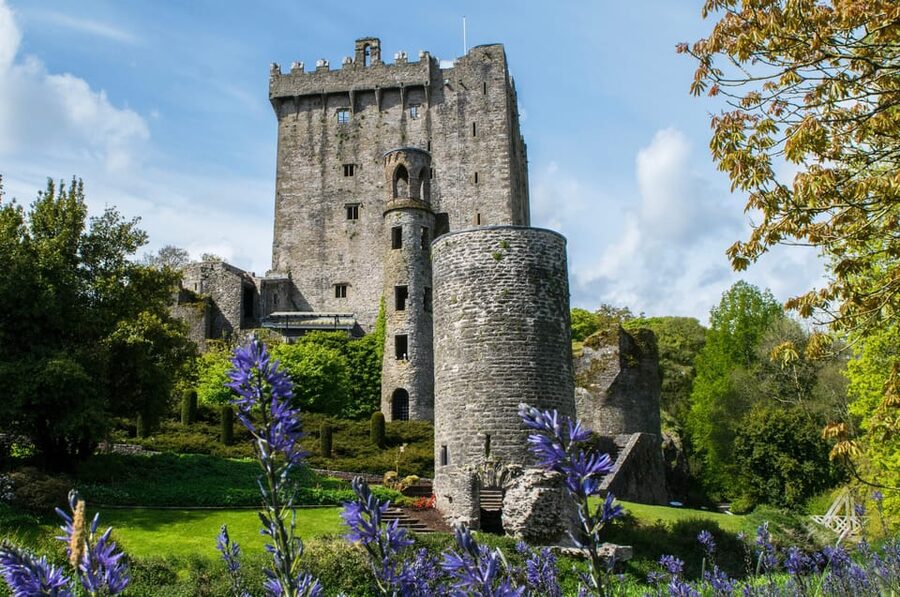 Blarney Castle: Private Guided Day Tour from Dublin - Cork City scenic drive and the English Markets stop