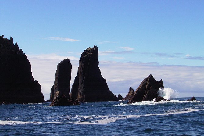 Blasket Island Eco Tour. - The Stories of the People Who Once Lived There