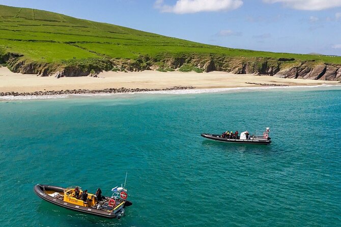 Blasket Island Sea Life Rib Tour, - Key things that make this RIB tour worth your time