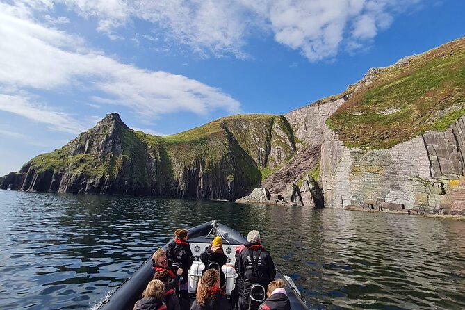 Blasket Island Sea Life Rib Tour, - Price and value: what $116.14 really covers in Dingle