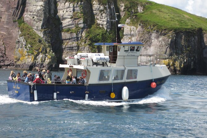 Boat Tour of Dingle Peninsula - Key things to know before you go