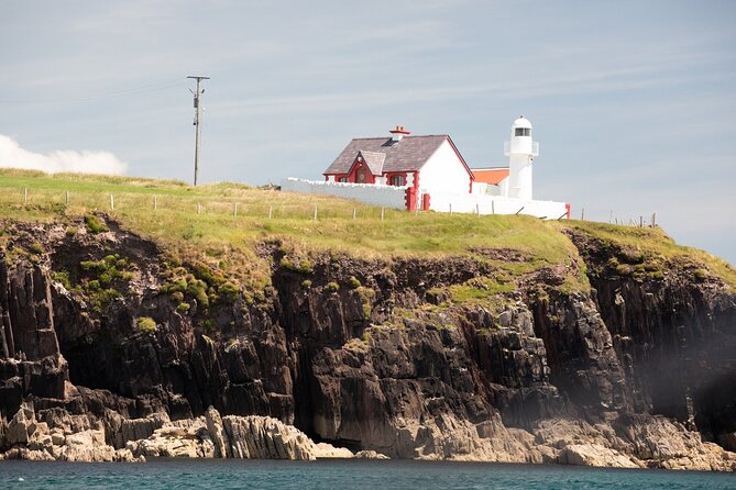 Boat Tour of Dingle Peninsula - Dingle Marina boarding: where the 1 hour starts