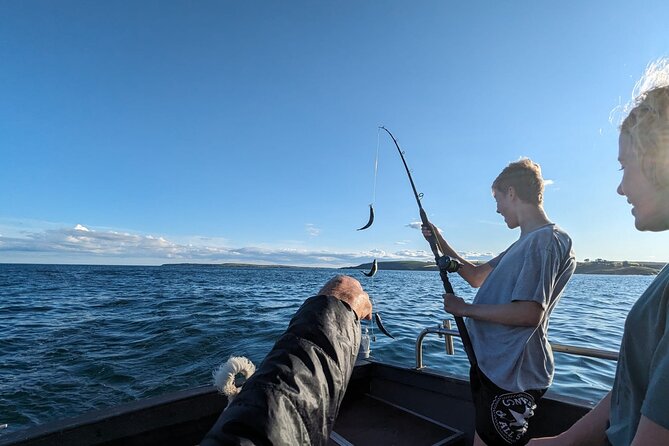 Boat Tour of Kinsale Harbour and Bandon River - Key highlights worth knowing first
