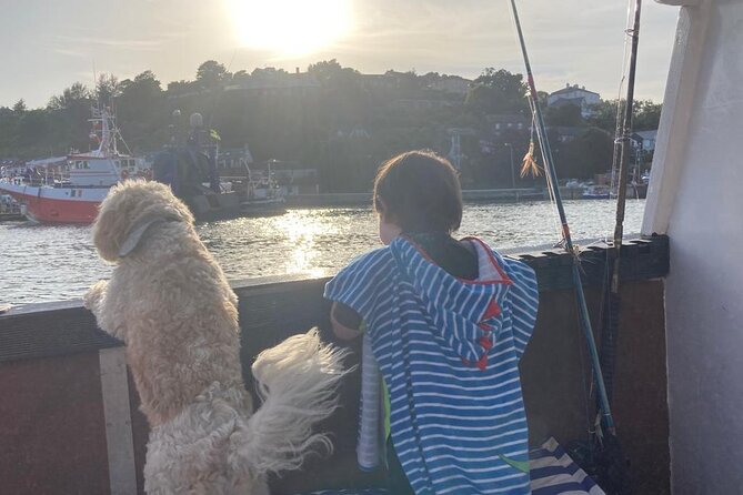 Boat Tour of Kinsale Harbour and Bandon River - Should you book this Kinsale Harbour and Bandon River boat tour?