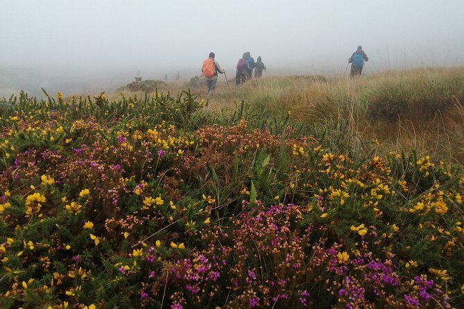 Bog Safari Hike - Small group hiking with Sharon: how the guide keeps it personal