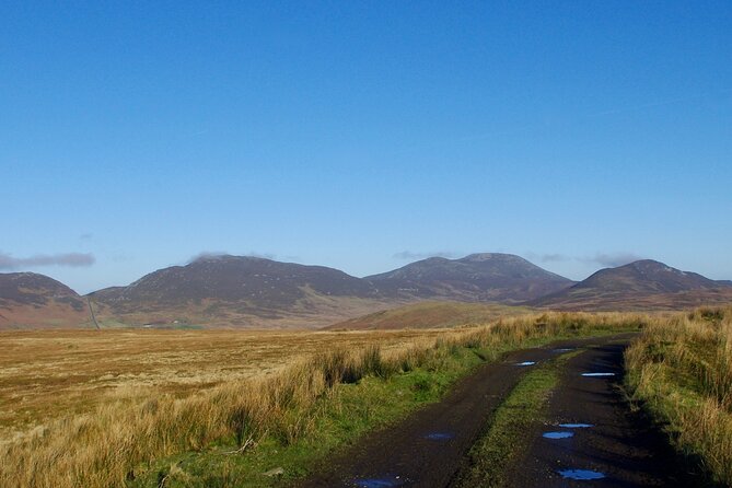Bog Safari Hike - Practical stuff you should plan for: time, fitness, and weather